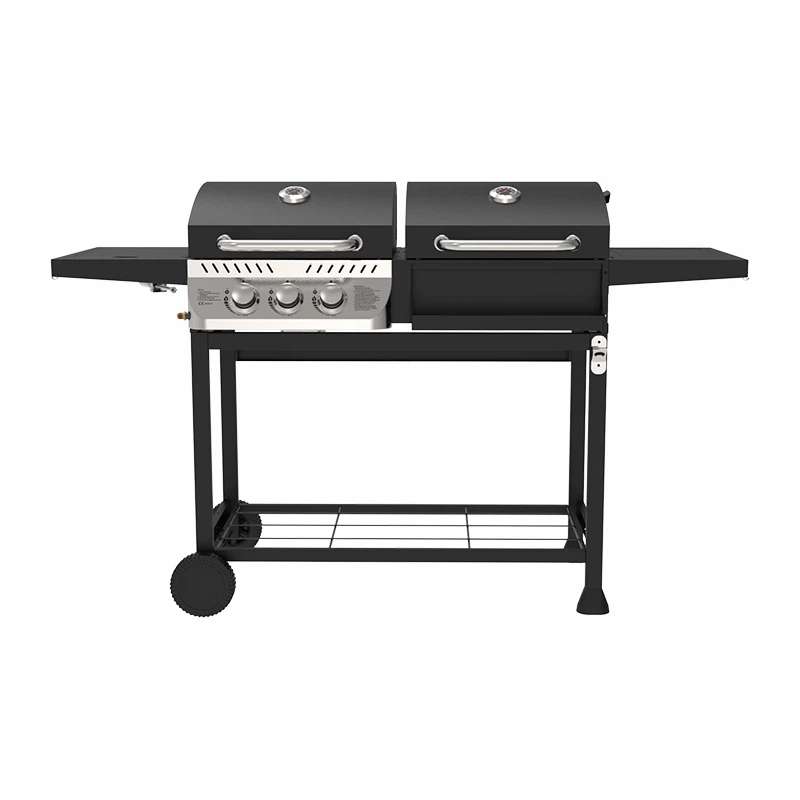 Dual Fuel Gas Grill